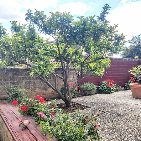 Appartamento Galgani San Vincenzo Exterior photo